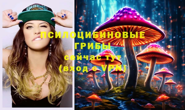 синтетический гашиш Каменка