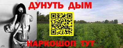 PSILOCYBIN Кингисепп