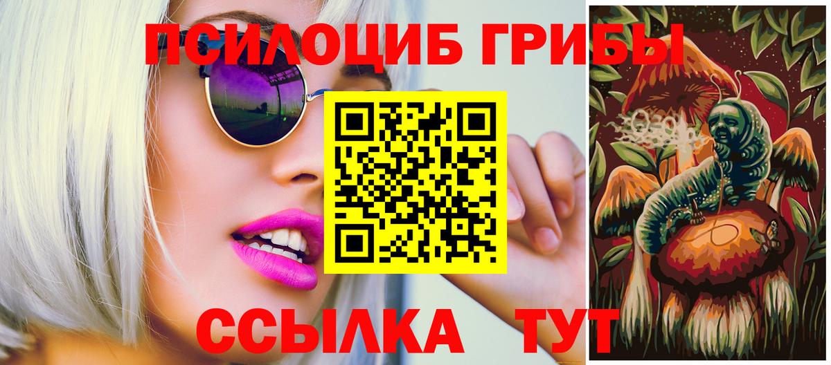 купить закладку  Псилоцибиновые грибы Psilocybine cubensis  Галлюциногенные грибы Cubensis  Вход с VPN  Новошахтинск 