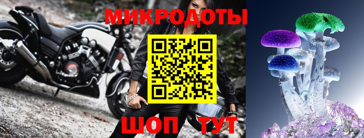 Псилоцибиновые грибы мицелий Новошахтинск