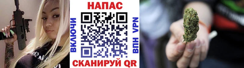 Шишки марихуана марихуана  Новошахтинск 